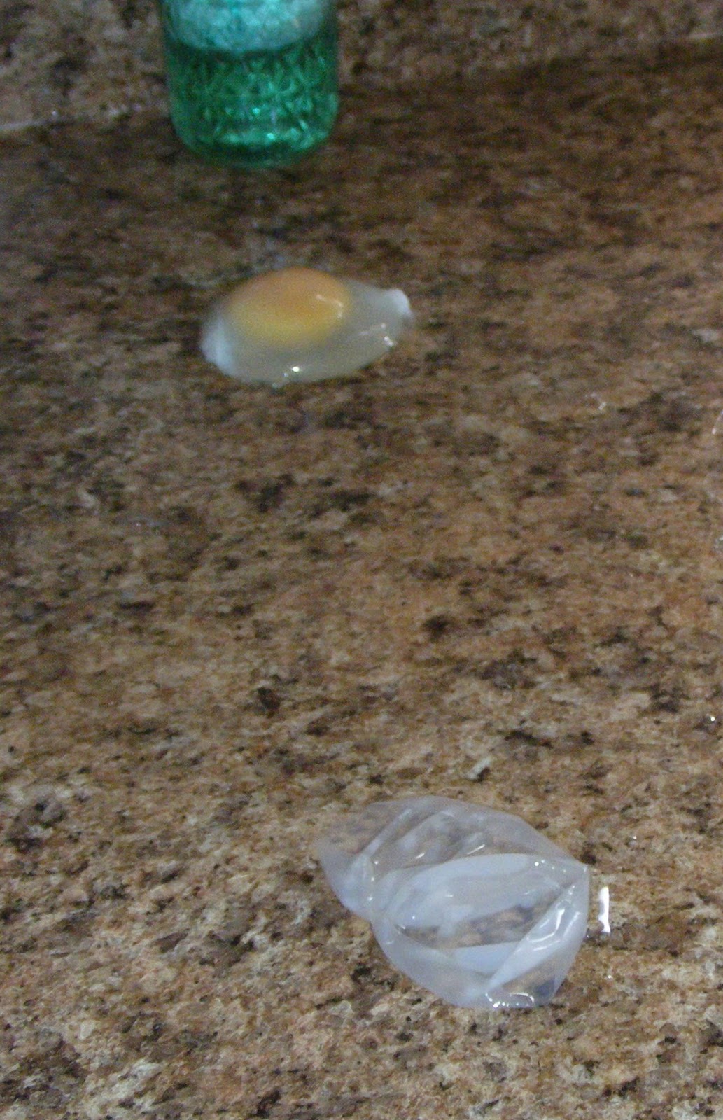 Ten kids and a Dog: Egg--xperiment is underway--The Naked 