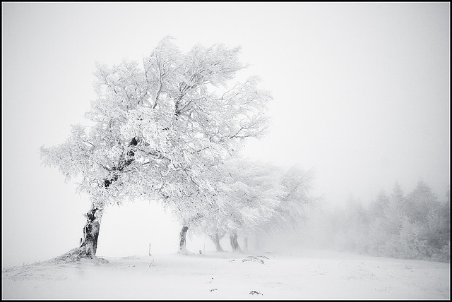 Nature Without Color Landscape Without Colour