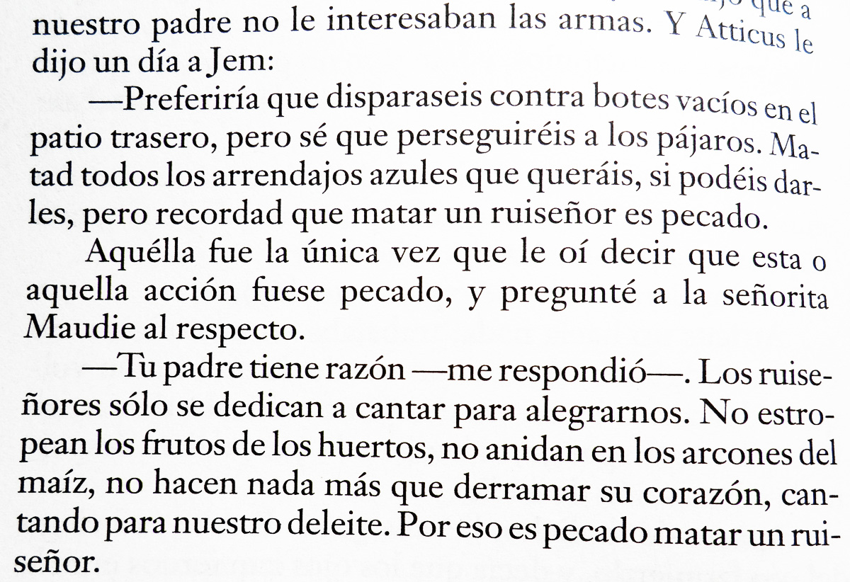 Matar A Un Ruisenor Resumen Capitulo 8