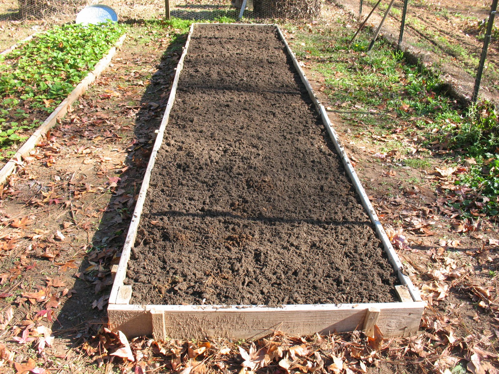 Sensible Survival Winter Care for Your Asparagus Beds