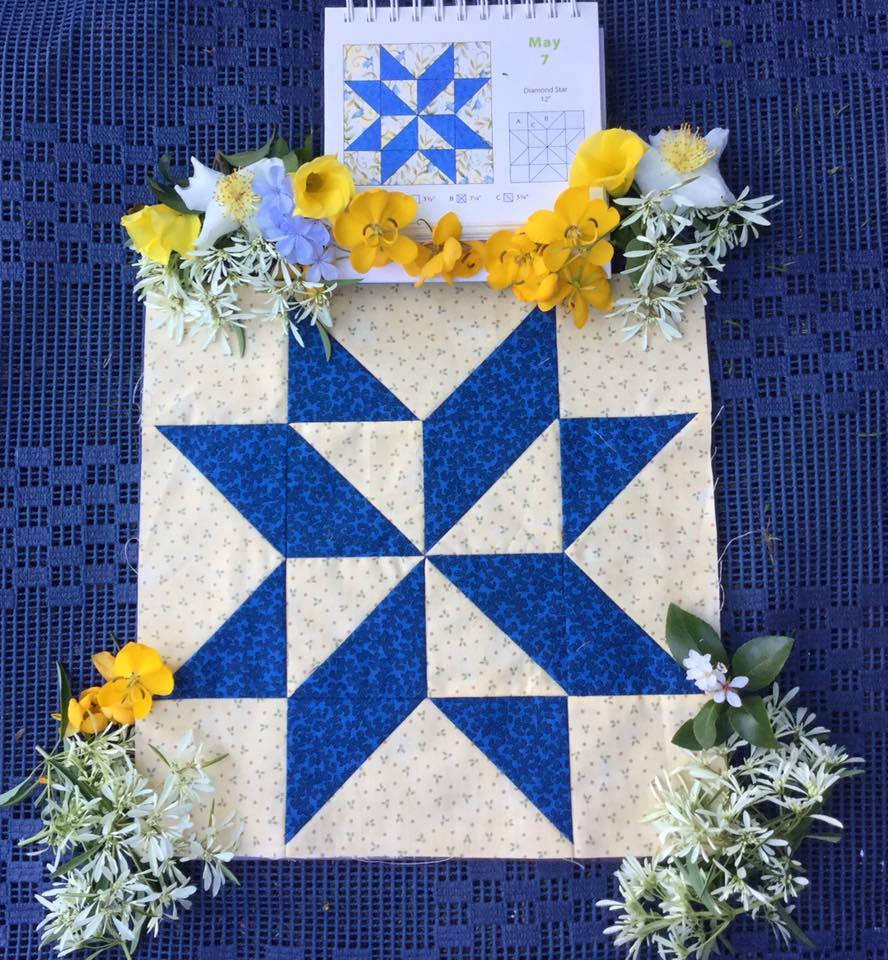 Quilter's Block a Day Calendar Week 19
