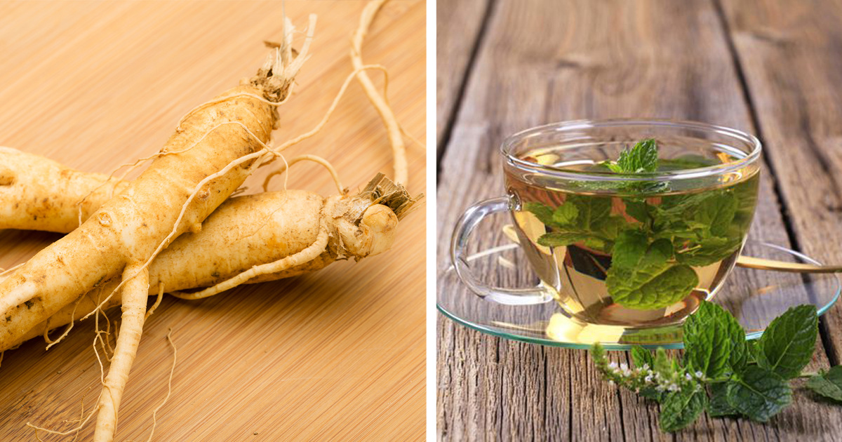 5 Natural Herbs That Can Accelerate The Fat Loss Process SHREDDEDFIT