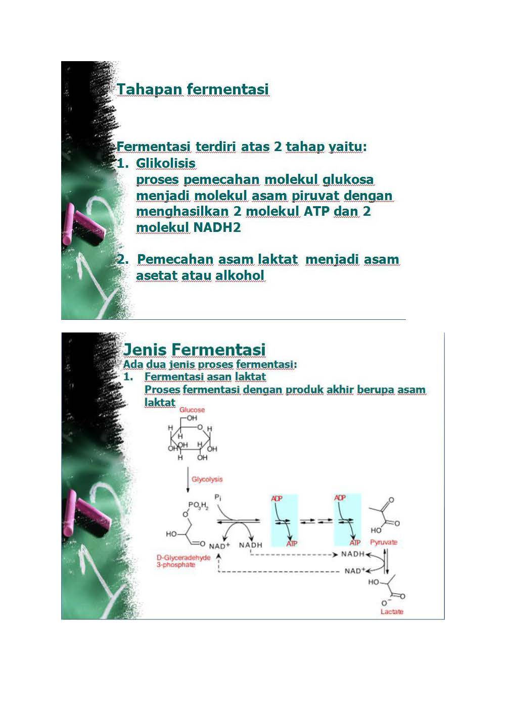 Latihan Soal Sederhana Metabolisme Biologi