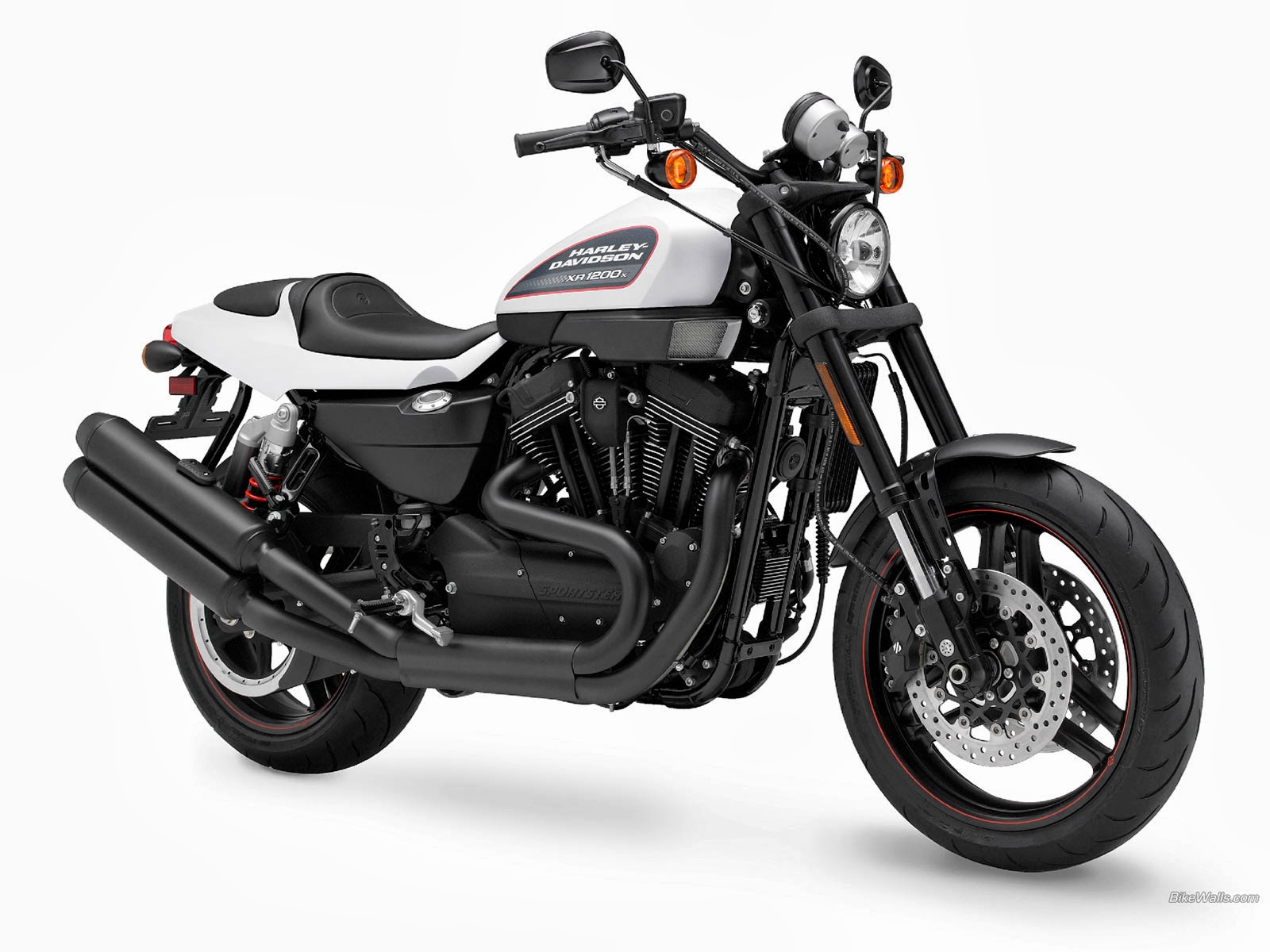  Harley Davidson XR 1200 X Sportster Harley Davidson Motor