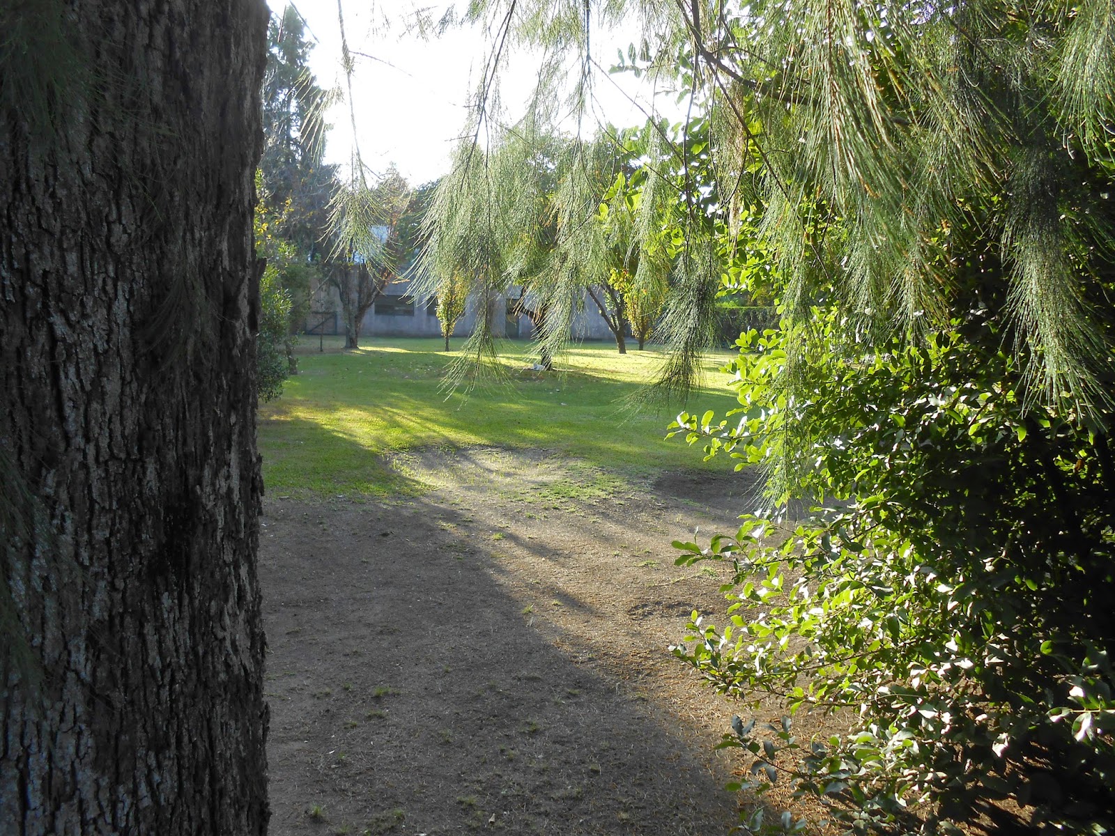 R.TAVELLA Inmuebles: FM2461/1 LOTE CON MEJORAS EN VENTA * VILLA UDAONDO