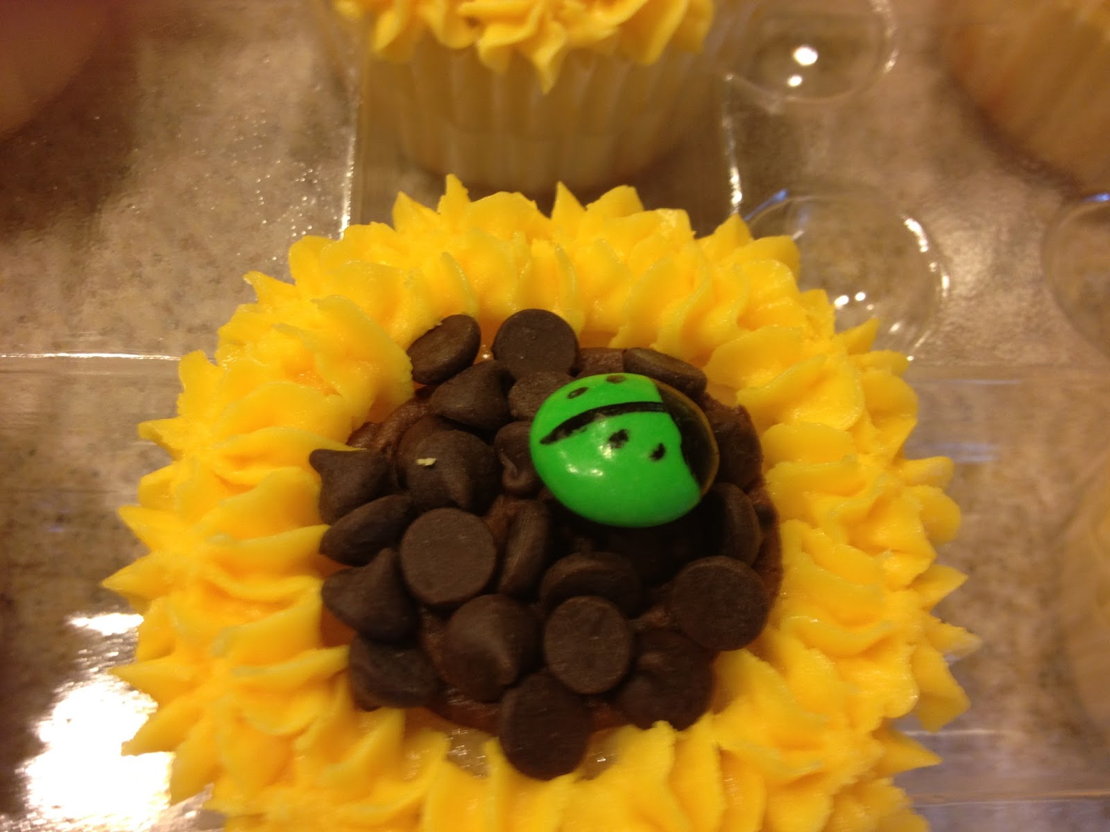 Ladybugs Bakery Cupcakes