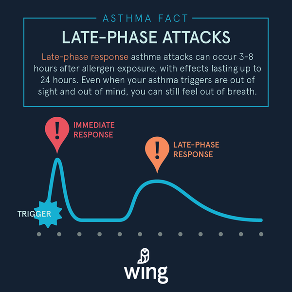 數位時代翻攝自 Sparo Labs 在 Indiegogo 的 Wing 募資頁面