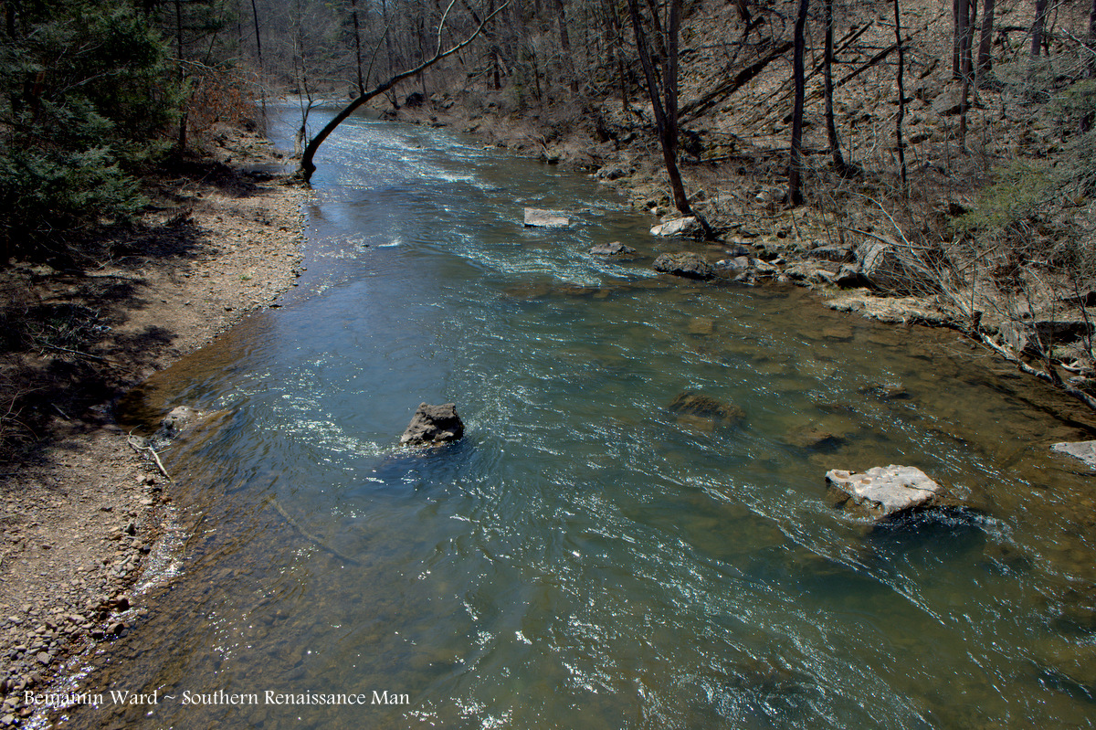 Southern Renaissance Man Jackson River VA Fly Fishing Report (In Pictures)