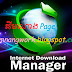  [Software] Internet Download Manager IDM 6.25 Build 21+Crack 