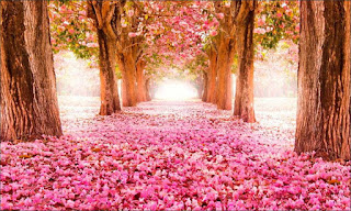 Salmo 96 – Oração poderosa para acabar com as brigas na família e ter paz Salmo 96 – Oração poderosa para acabar com as brigas na família e ter paz