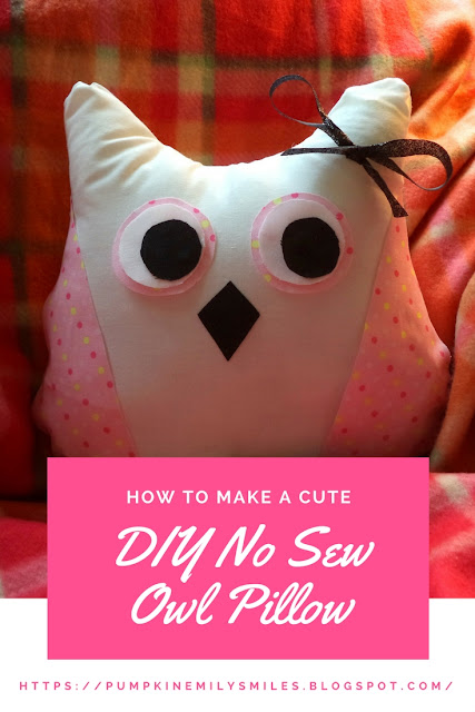 Cute DIY No Sew Owl Pillow