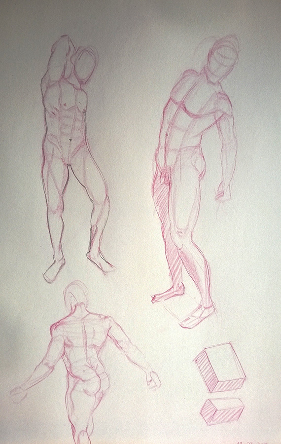 anatomia7.jpg