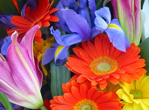 Juego Chimenea Flores Cortés - 4 Piezas, Accesorios Para Hogar