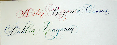 DeAnn Singh Calligraphy: March 12, 2012 - Copperplate Last Class at ...
