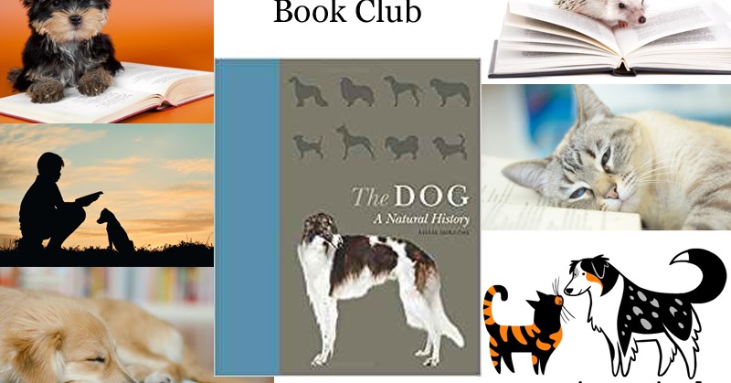 Companion Animal Psychology Book Club October 2018