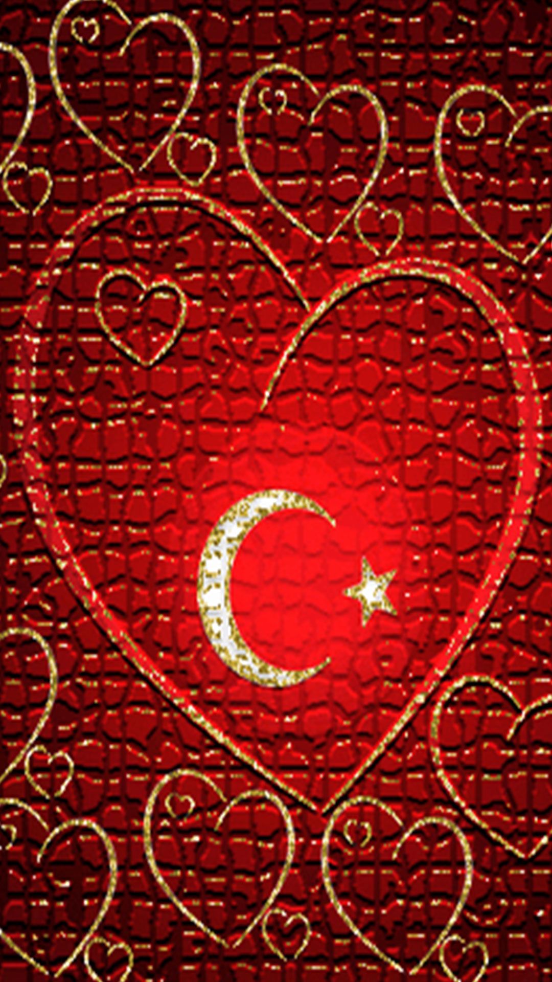 Kalpli turk bayragi 3