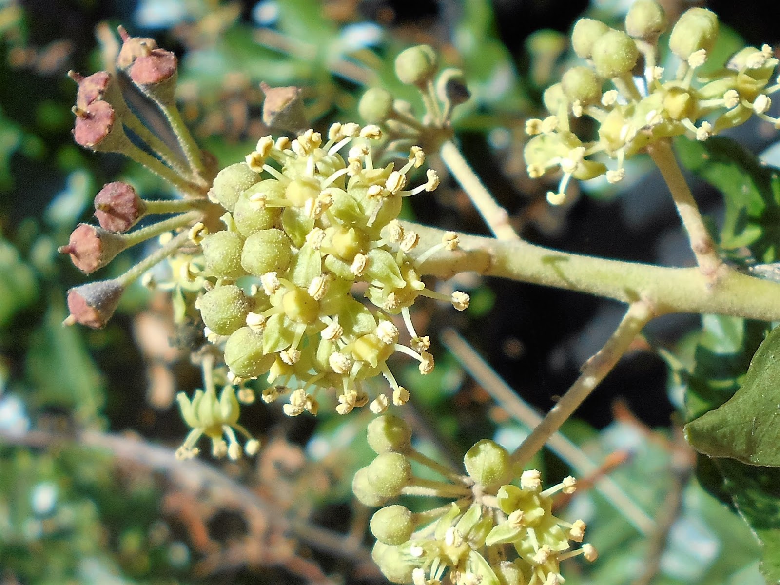 Tony S Blog November 2016