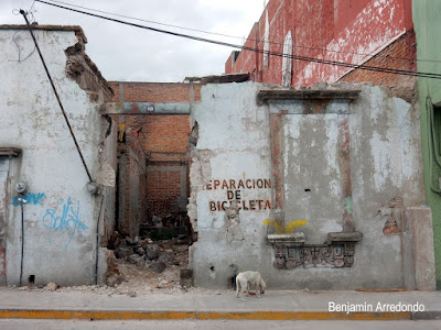 Continúa la pérdida patrimonial en Salamanca, Guanajuato. Noticias en tiempo real