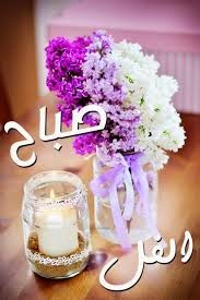 images%2B(7)