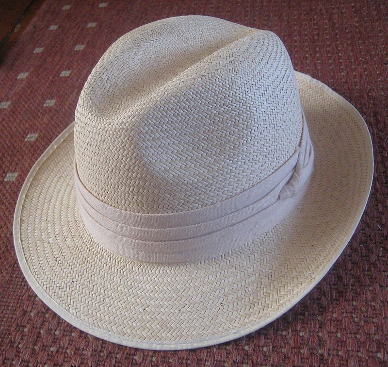 Encyclopedia of Trivia Panama hat
