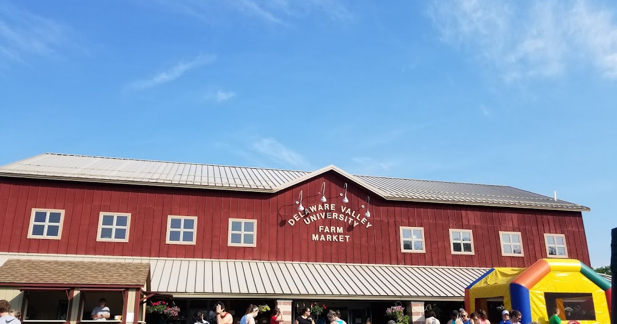 JoeG Race Review Dairy Air 10k