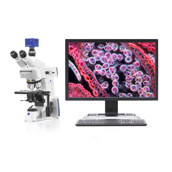 Microscope World Blog Microscope Ergonomic Work Station