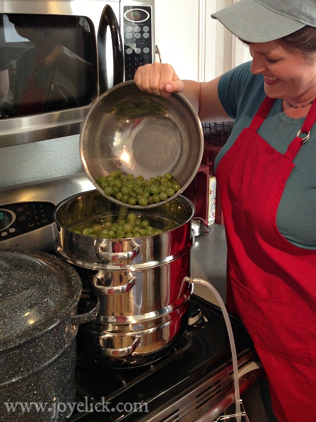 how to use a steam juicer for grapes