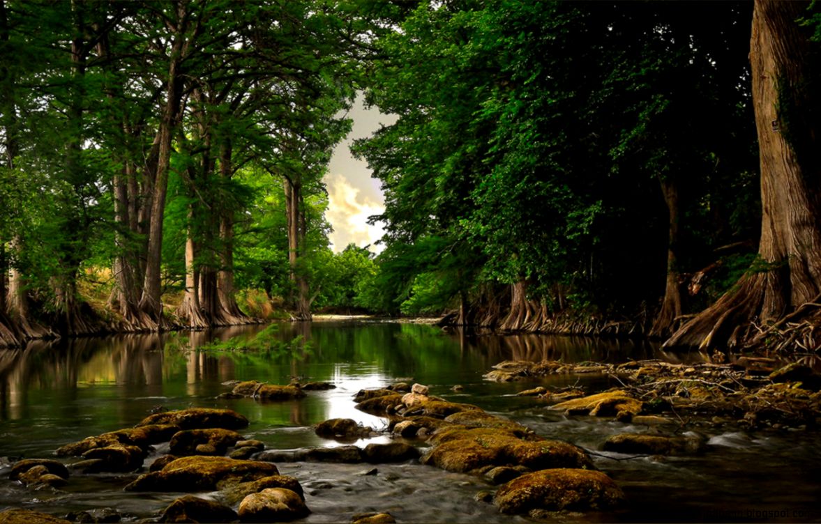 Latest seductive nature photography wallpaper 12 － Landscape