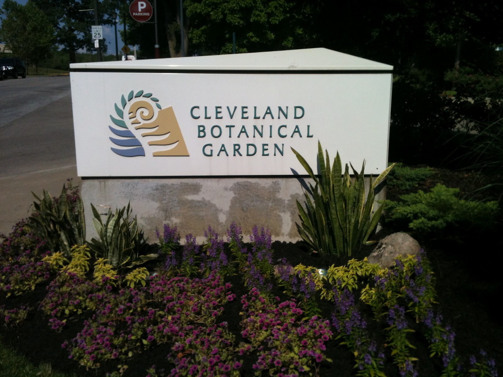 An Afternoon in the Garden Mulch, Mulch, and More Mulch