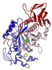enzim amilase - e-jurnal
