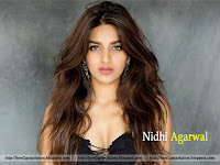 nidhi agarwal hot, nidhi agarwal, actress nidhi agarwal deep boobs cleavage show in lingerie