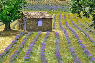 HOTELS / Quinta das Lavandas, Castelo de Vide, Portugal