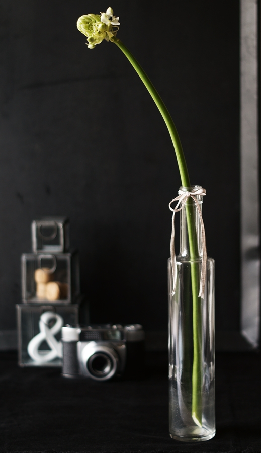 Blog + Fotografie by it's me!  fim.works - Milchstern in schmaler Glasflasche, Glasboxen mit Deko