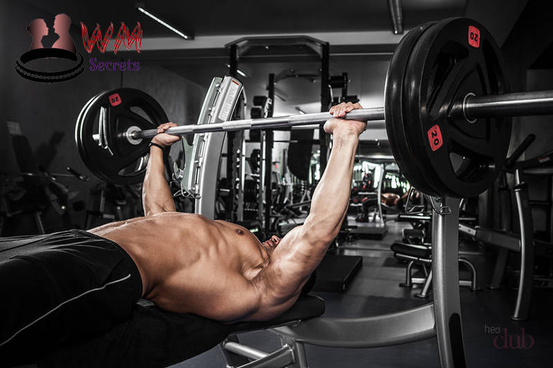 How To Become Healthy How To Increase Bench Press The Training