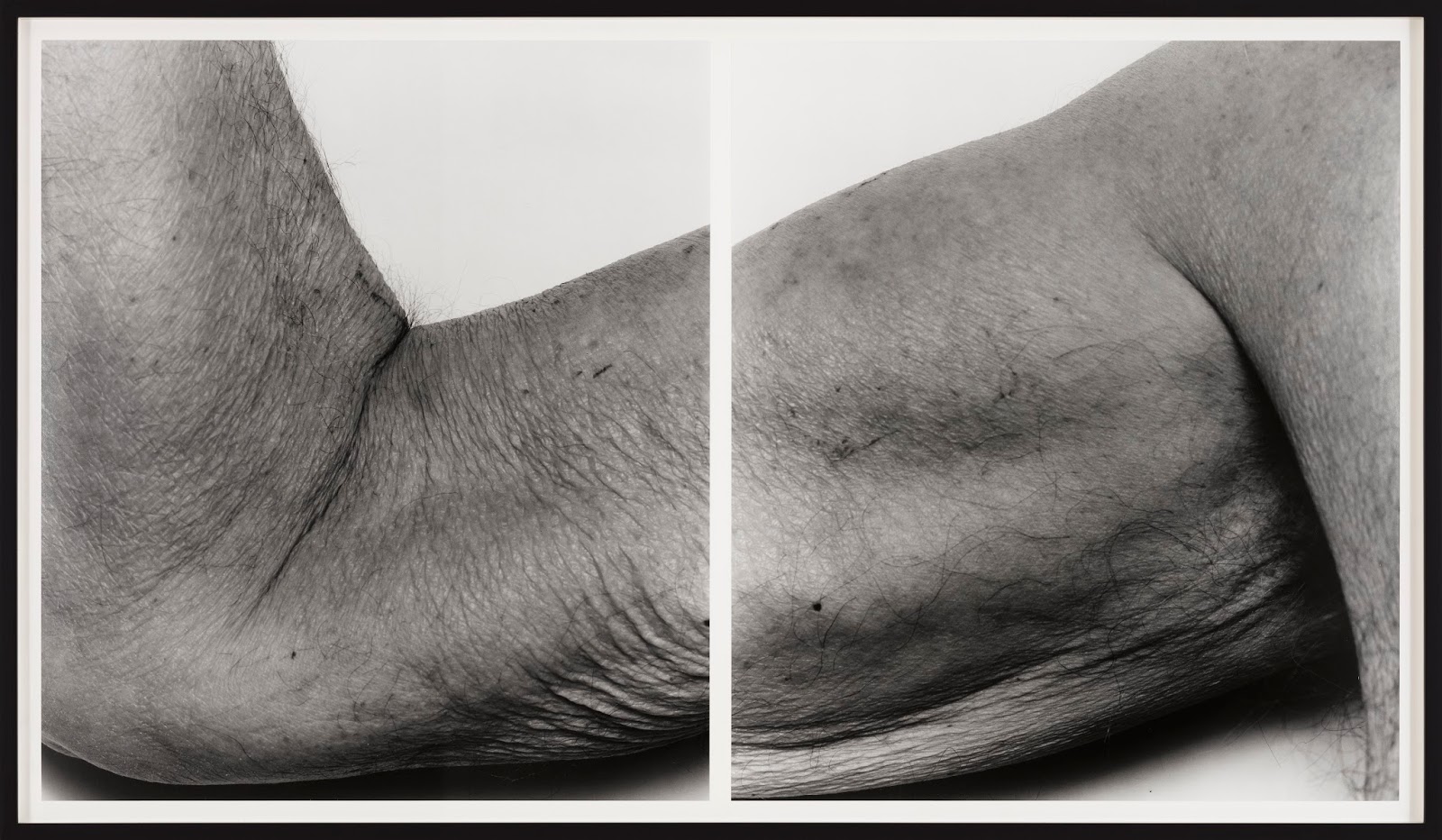 Daily Lazy Foreign Bodies At P420 Bologna Italy