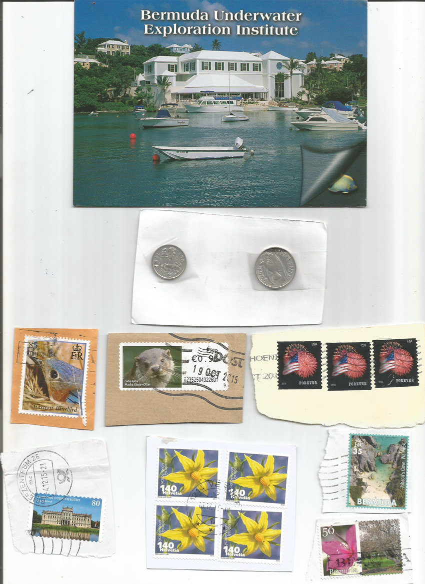 Carol Griffith's Instagram, Twitter & Facebook on IDCrawl