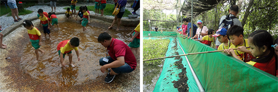 高雄,楠梓區,幼兒園,幼稚園