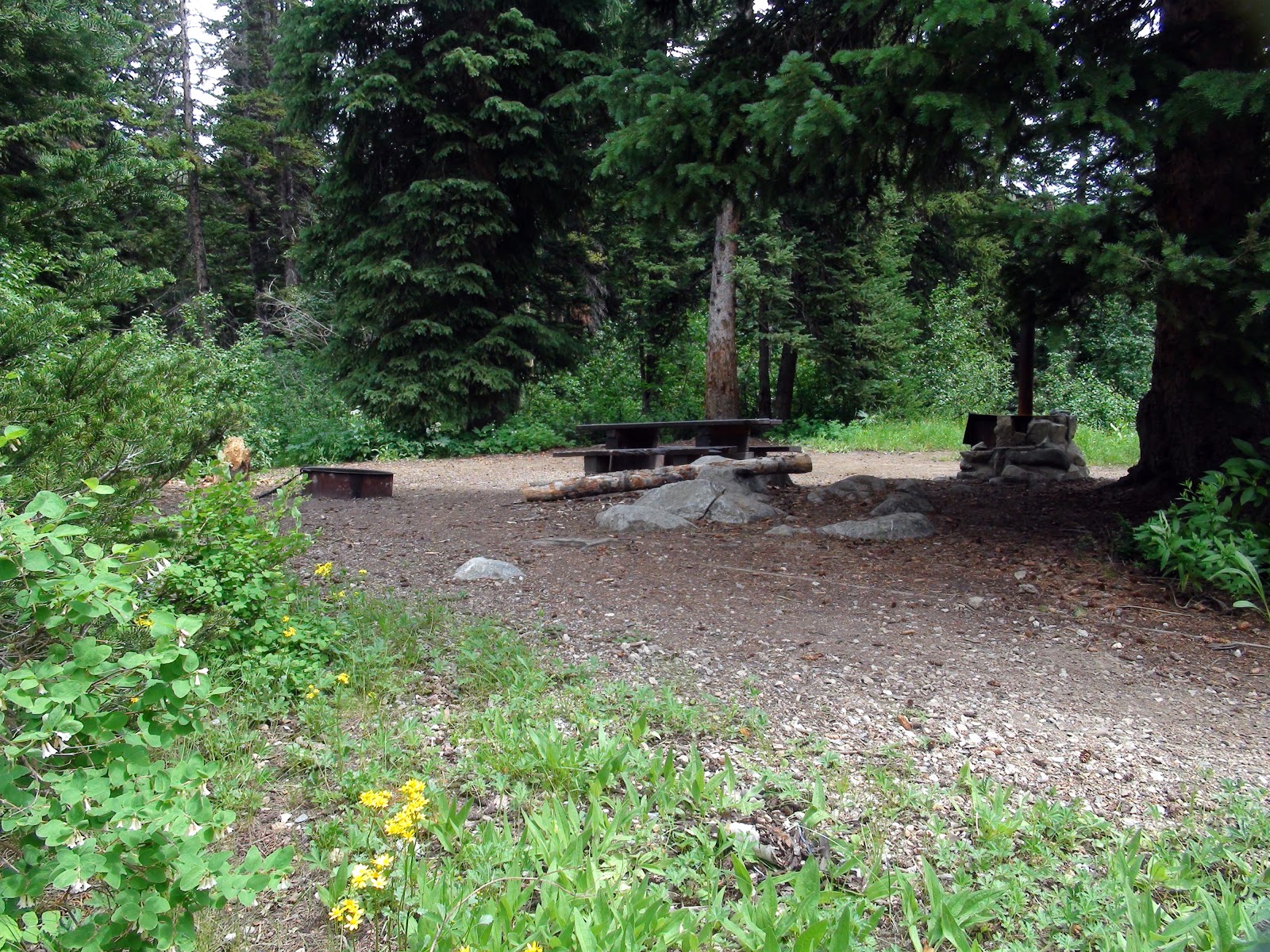 CAMP HOST Jobs Job Duties of a Camp Host