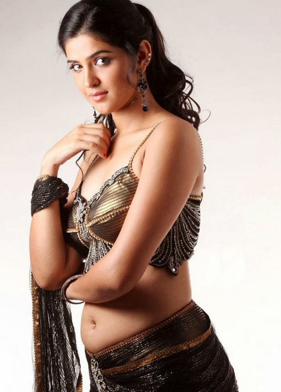 Hot Indian Bhabhi Actress Deeksha Setha Saree Remov