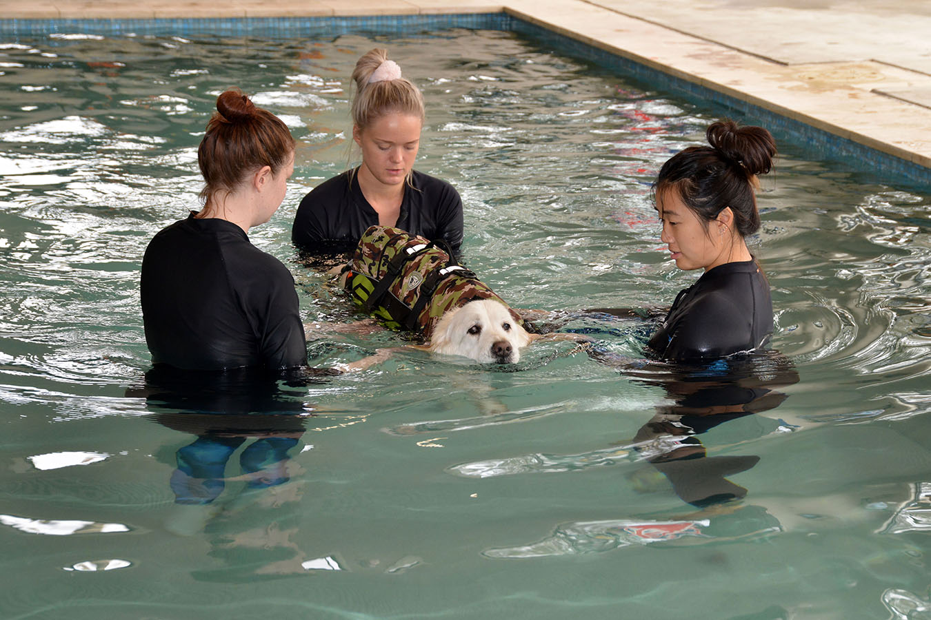 K9 SWiM Hydrotherapy & Wellness Centre Opens Australian Dog Lover