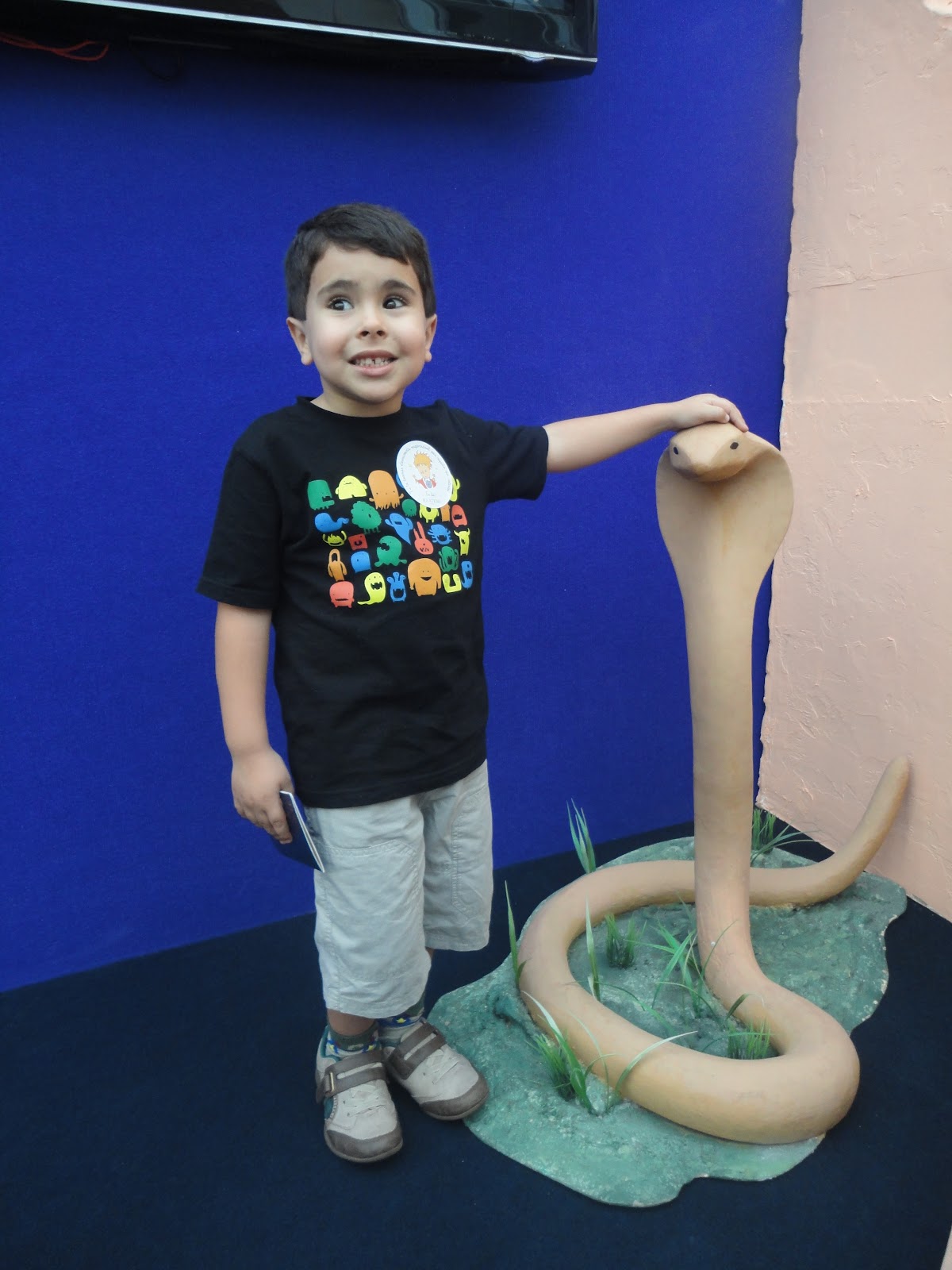 Bernardo e Rodrigo Chapéu ou cobra