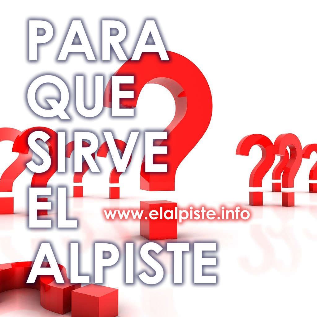 Para que sirve el Alpiste Conoce para que sirve la semilla de alpiste seco molido mojado licuado en Argentina BSAS Cordoba Neuquen Rosario Mar del Plata