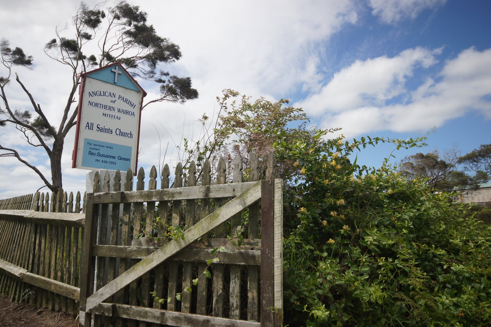 Magi and Sam: Maungaraho Rock south of Dargaville...recommended for ...