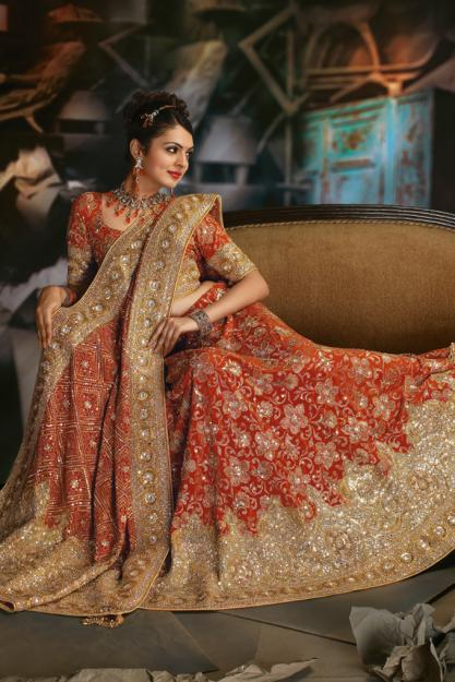 Ladies New Brands  Indian  Bridal  Lehenga Choli Fashion 