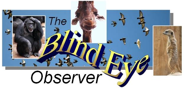The Blind Eye Observer