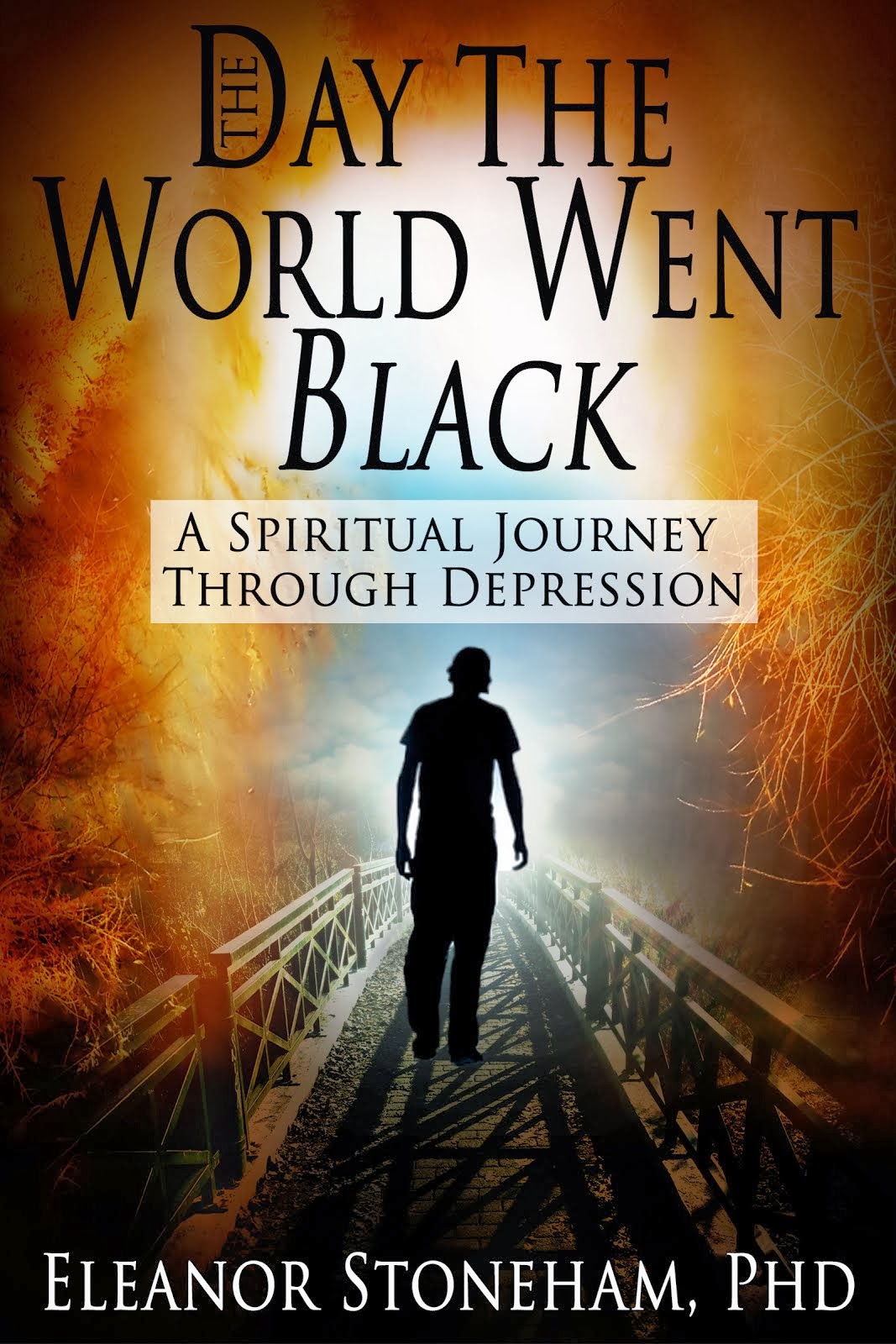 The Day the World Went Black  A Spiritual Journey Through Depression
