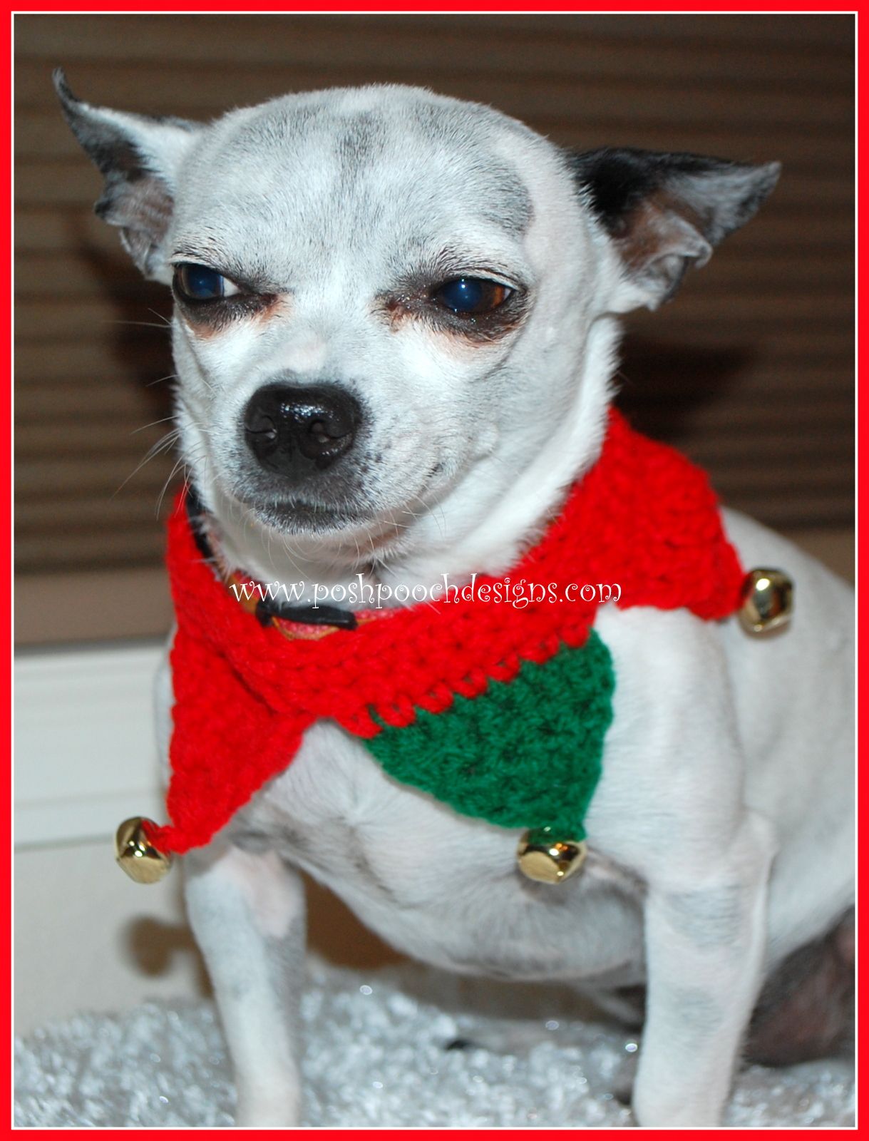 Posh Pooch Designs Christmas Dog Collar Fun Fast Free Pattern