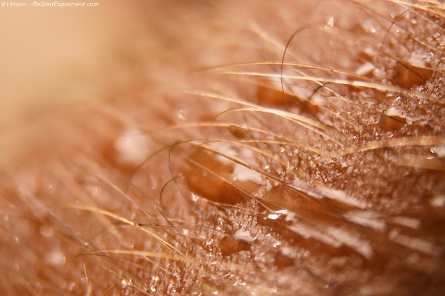 Apakah Kamu Salah Satu Orang yang Sering Berkeringat? Jika Iya Kamu Harus Tahu Apakah Keringat Itu Sehat Ataukah Berbahaya? Temukan Jawabannya Disini!