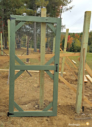 chicken run building predator proof coops coop runs walk door fence wood chickens cheap barn eggs plans portable bloglovin fresheggsdaily