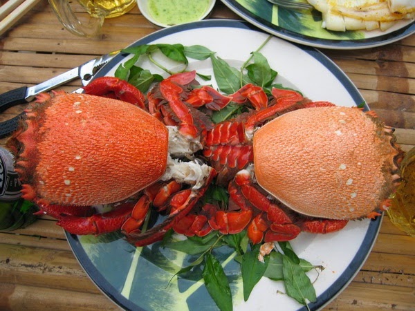 Huỳnh Đế Crab in Phú Yên Province (Cua Huỳnh Đế)1